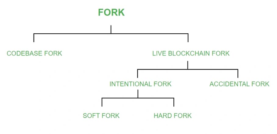 2023-08-31 (1)-classification of forks.png