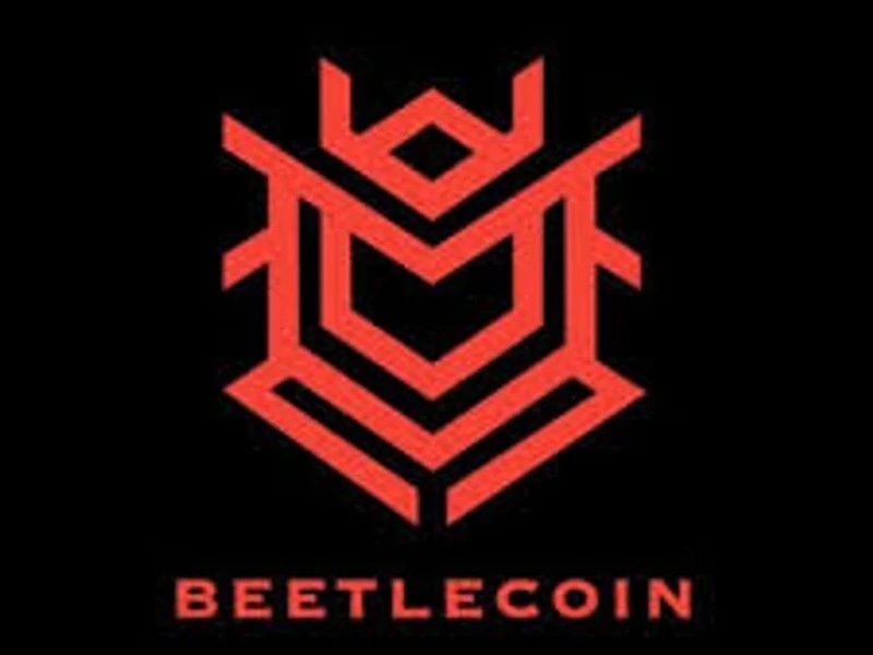 Featured image for Beetle Coin