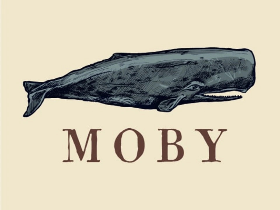 Featured image for Moby (in progress)