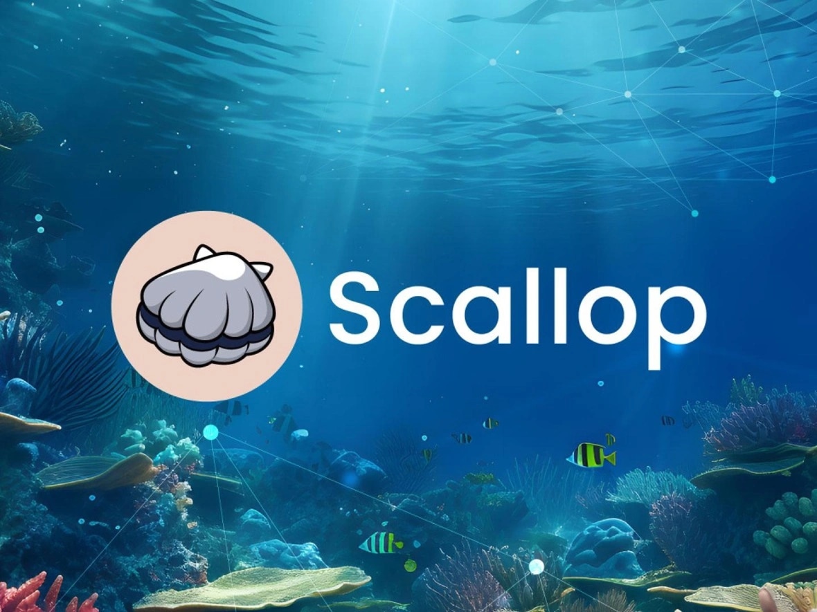 Scallop