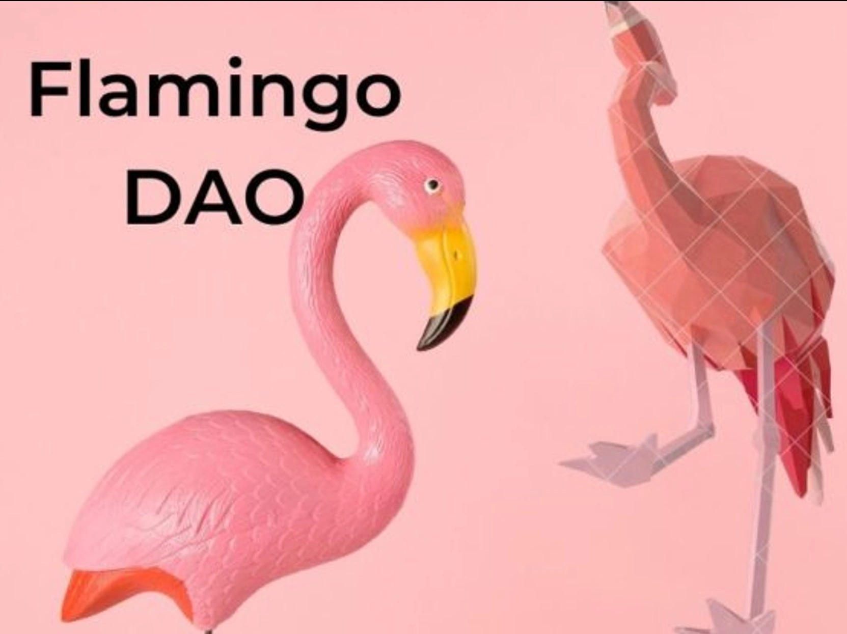 Flamingo DAO