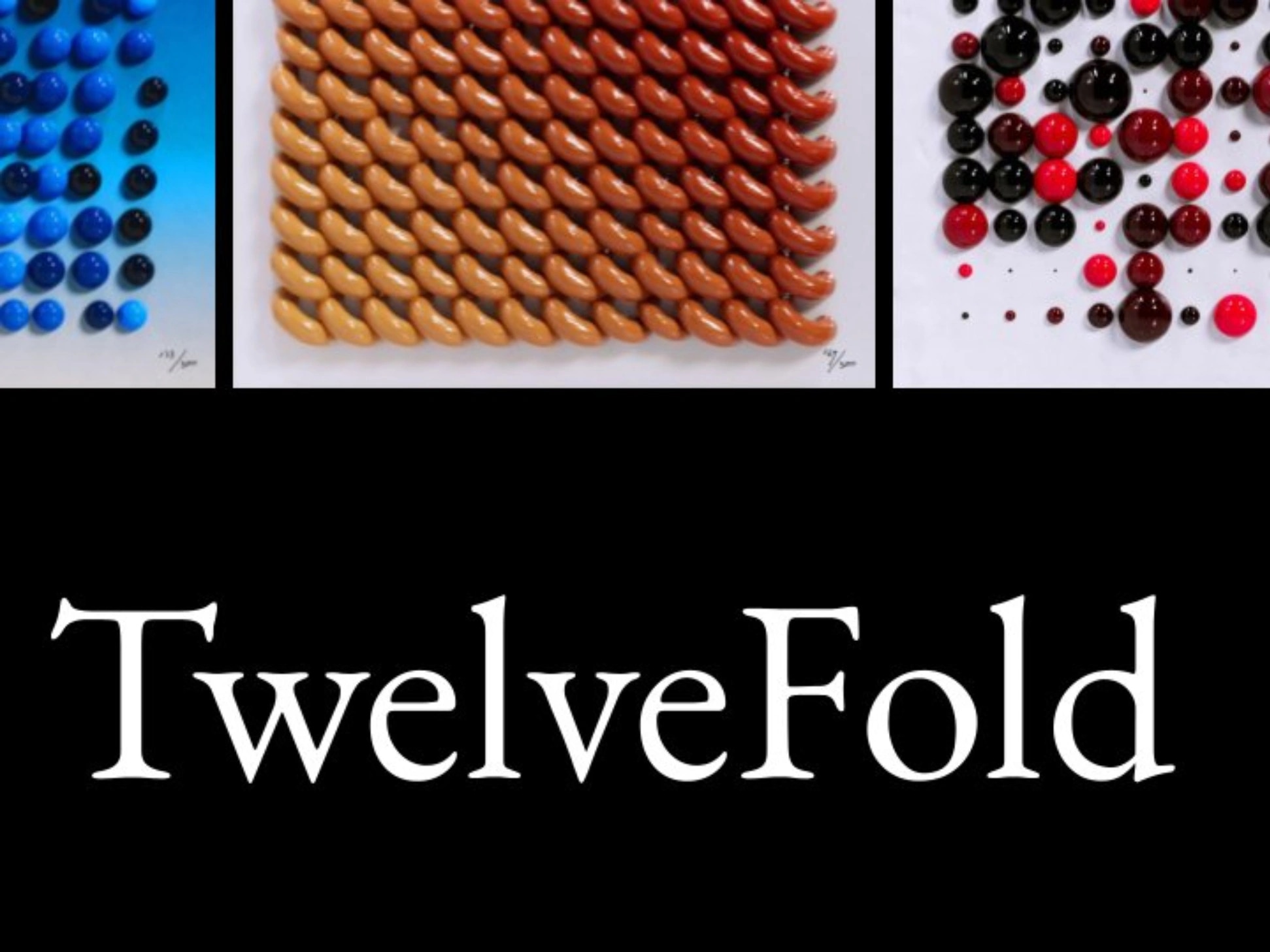 TwelveFold