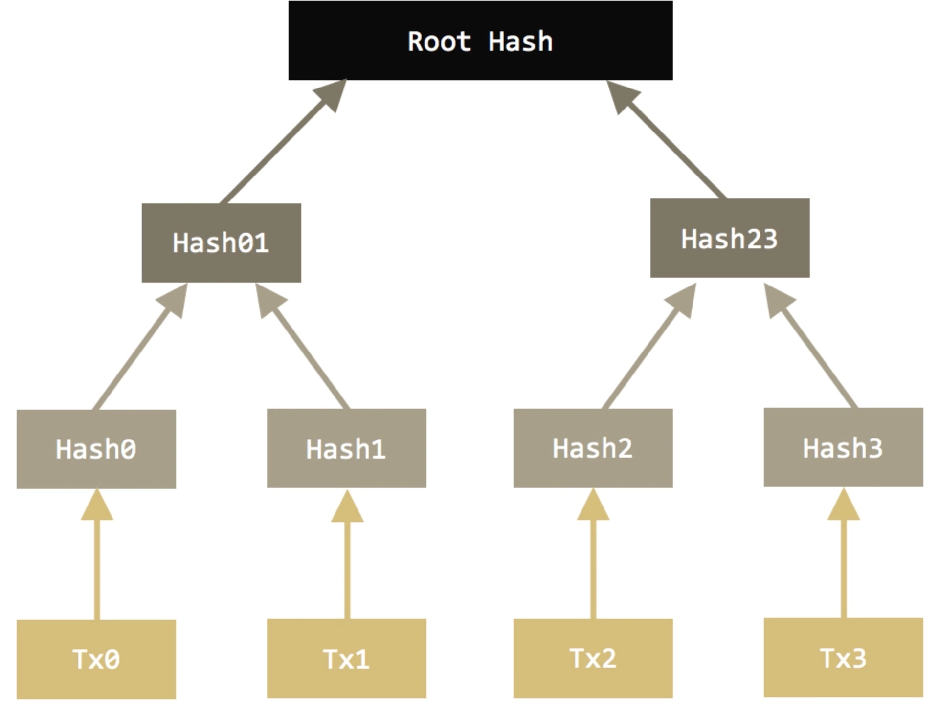 Featured image for Merkle Tree